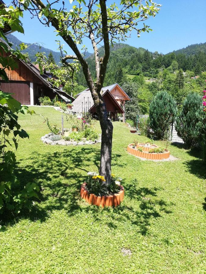 Soba Pri Bregarju Lägenhet Bohinj Exteriör bild