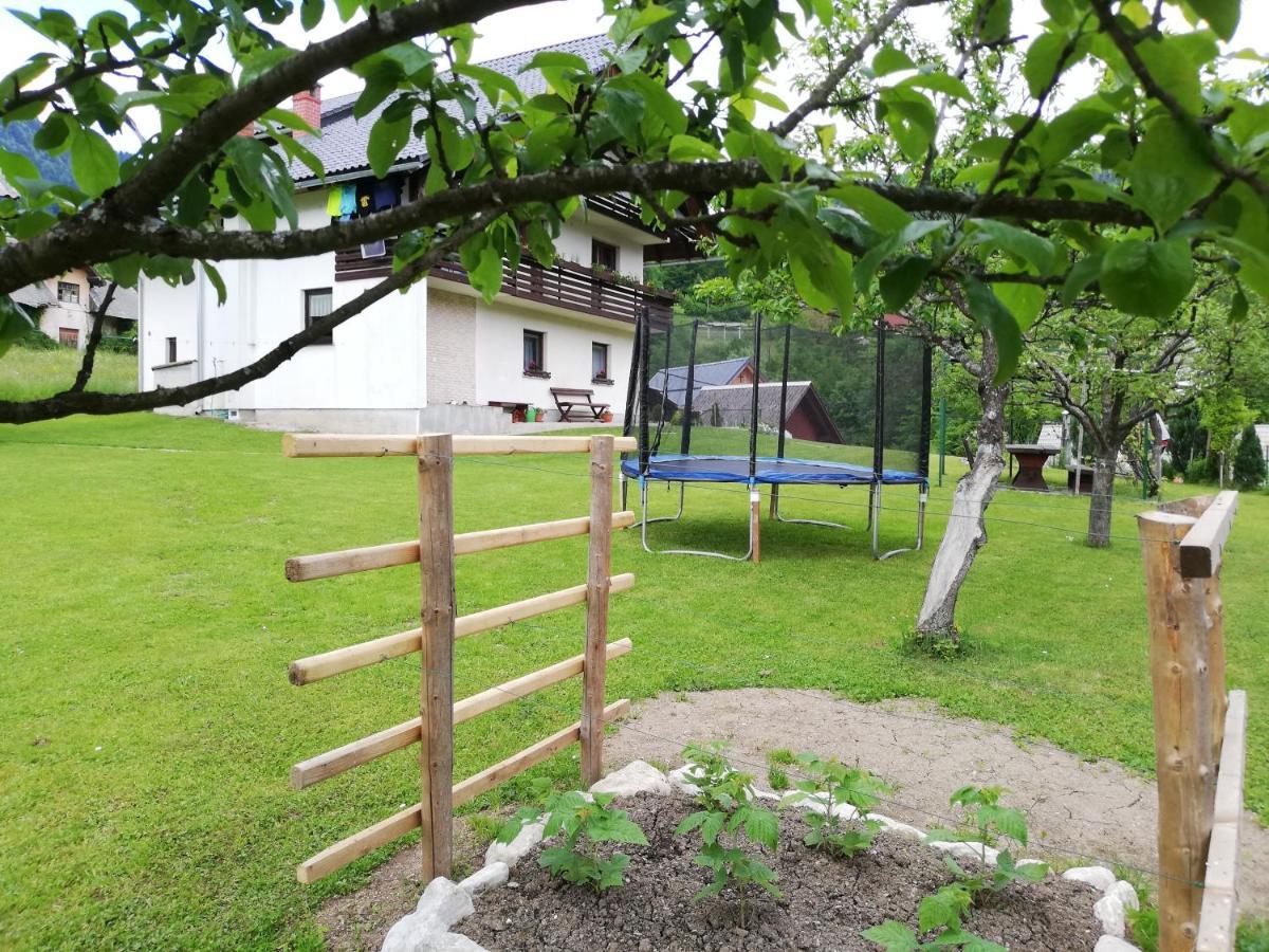Soba Pri Bregarju Lägenhet Bohinj Exteriör bild