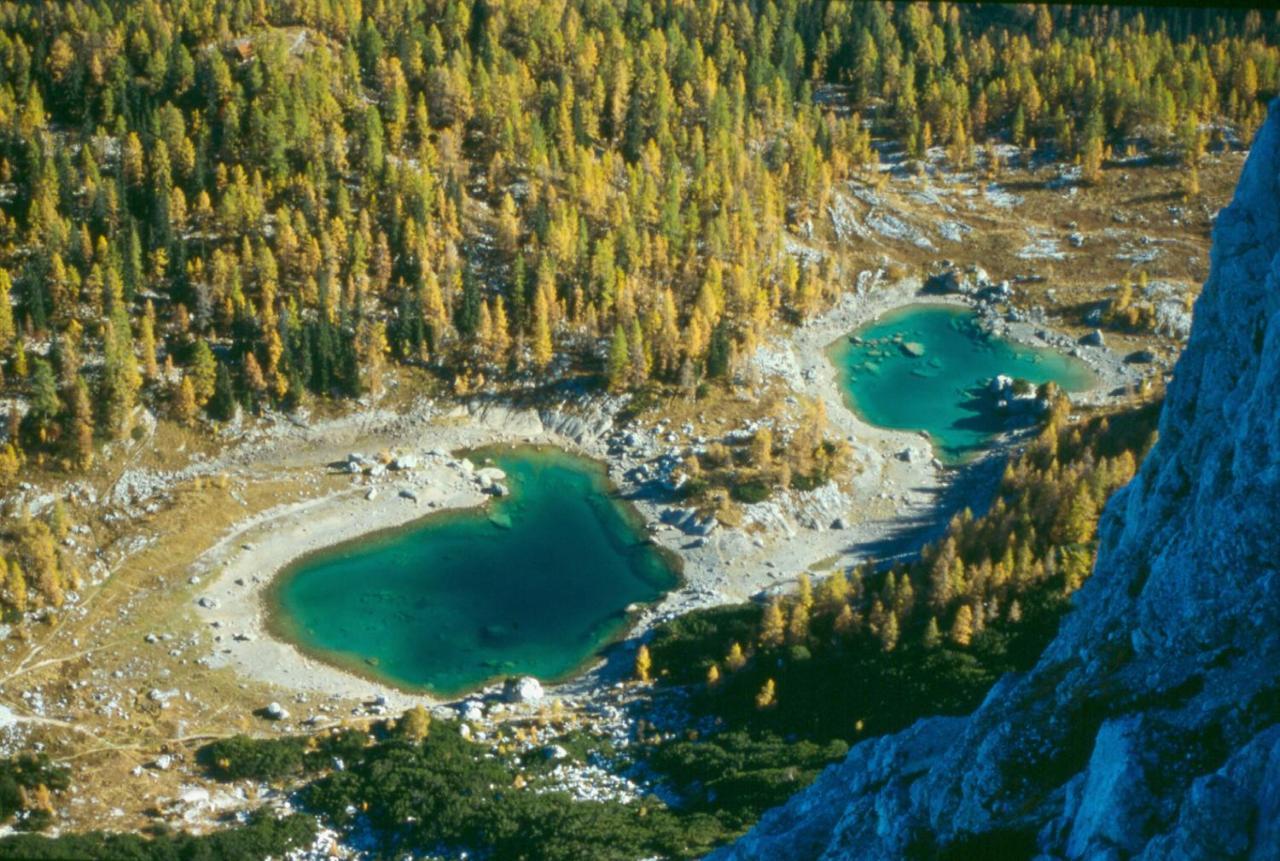 Soba Pri Bregarju Lägenhet Bohinj Exteriör bild