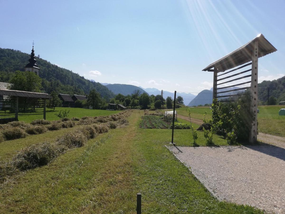 Soba Pri Bregarju Lägenhet Bohinj Exteriör bild