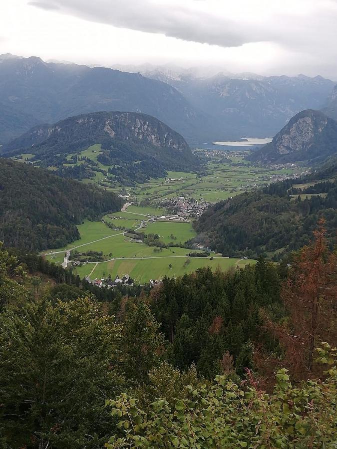 Soba Pri Bregarju Lägenhet Bohinj Exteriör bild